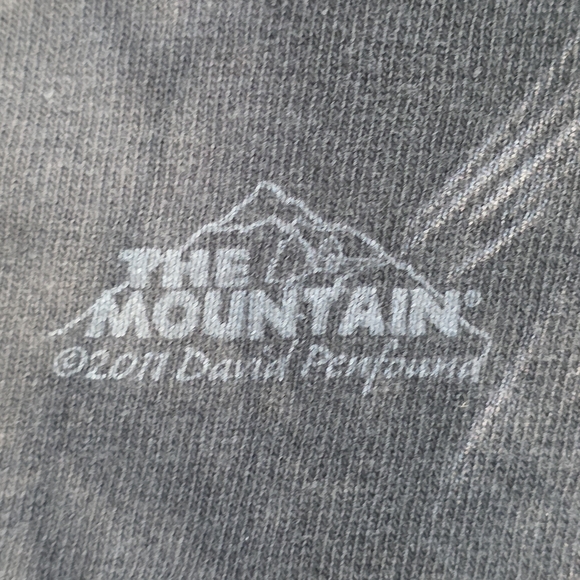 The Mountain Bear Face Graphic T-Shirt - Picture 4 of 7